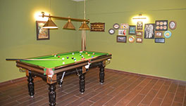 Lavasa Lake View Palace - pool table